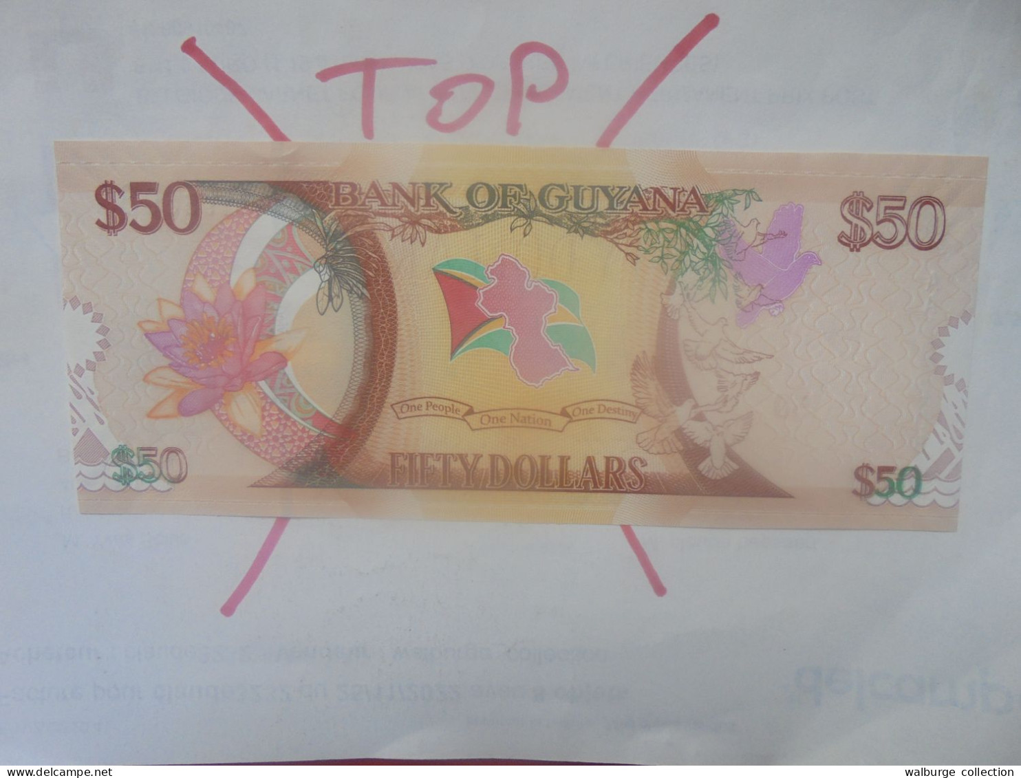 GUYANE 50$ 2016 Neuf (B.33) - Guyana