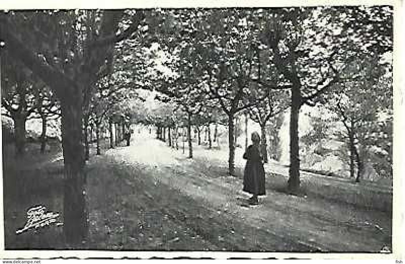 Portugal & Marcofilia, Luso, Avenida Do Castanheiro, Ed. Adelino Carvalho, Luso, Lisboa 1951 (776) - Storia Postale