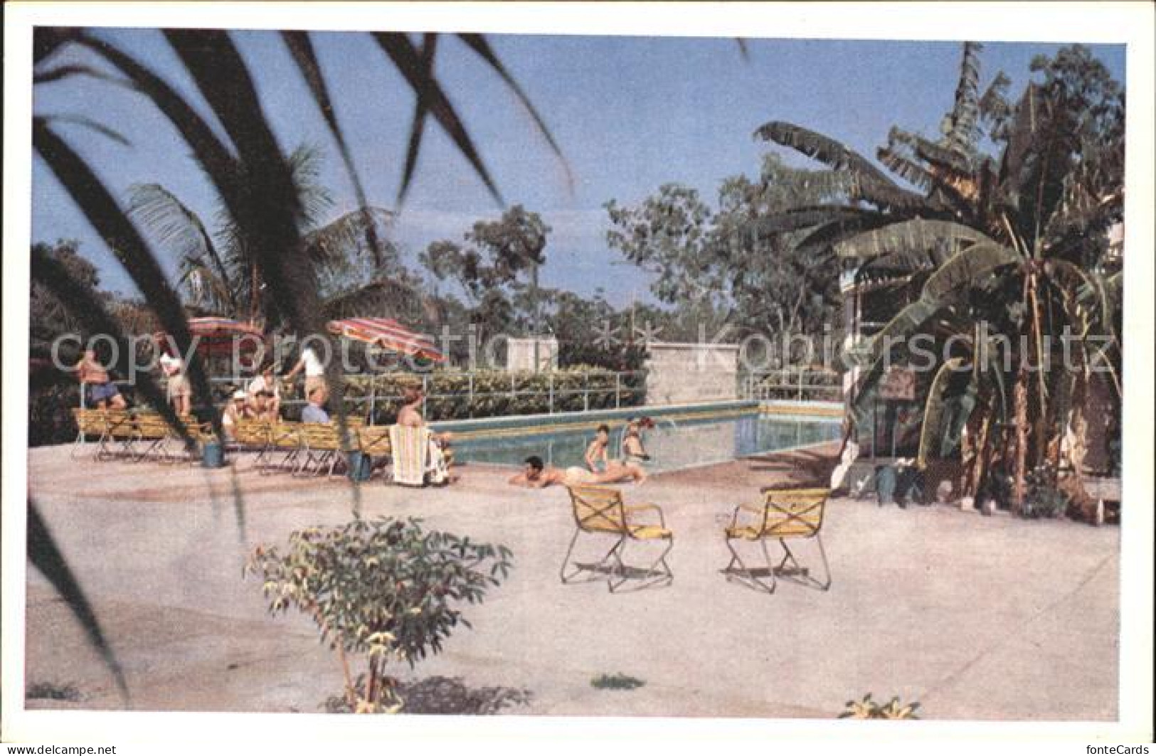 72114686 Darwin The Swimming Pool At Berrimah Rest House - Autres & Non Classés
