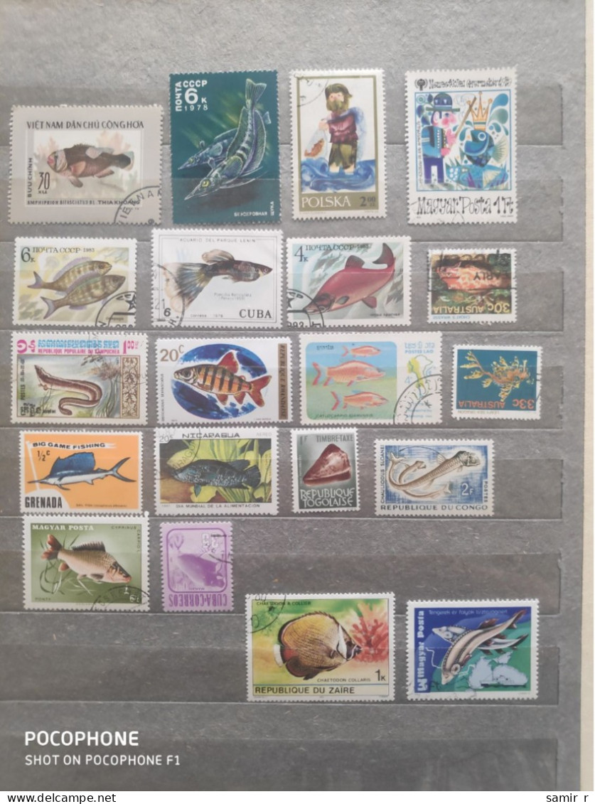 Different Countries	Fishes (F97) - Colecciones (sin álbumes)