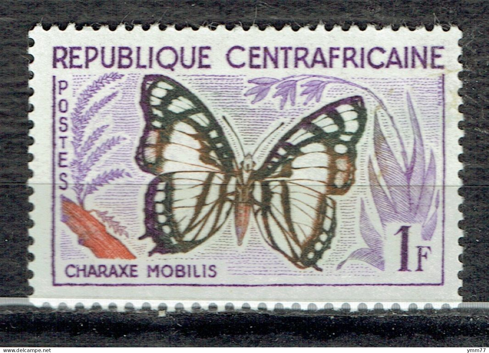 Papillons : Charaxes Mobilis - Centrafricaine (République)