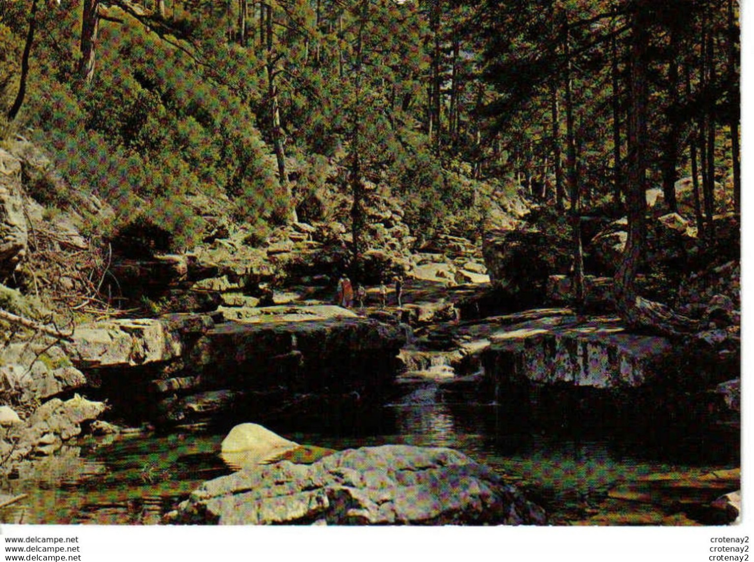 Haute Corse AITONE N°652 La Forêt VOIR DOS Editions Kalliste Ajaccio - Autres & Non Classés