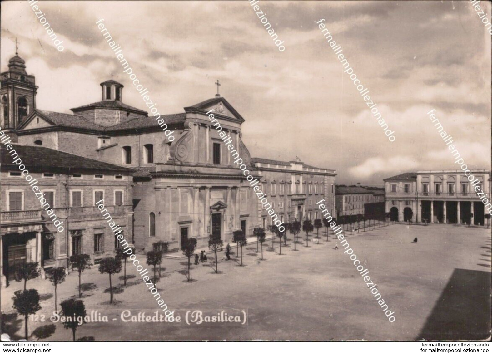 Bc777 Cartolina Senigallia Cattedrale Provincia Di Ancona Marche - Ancona