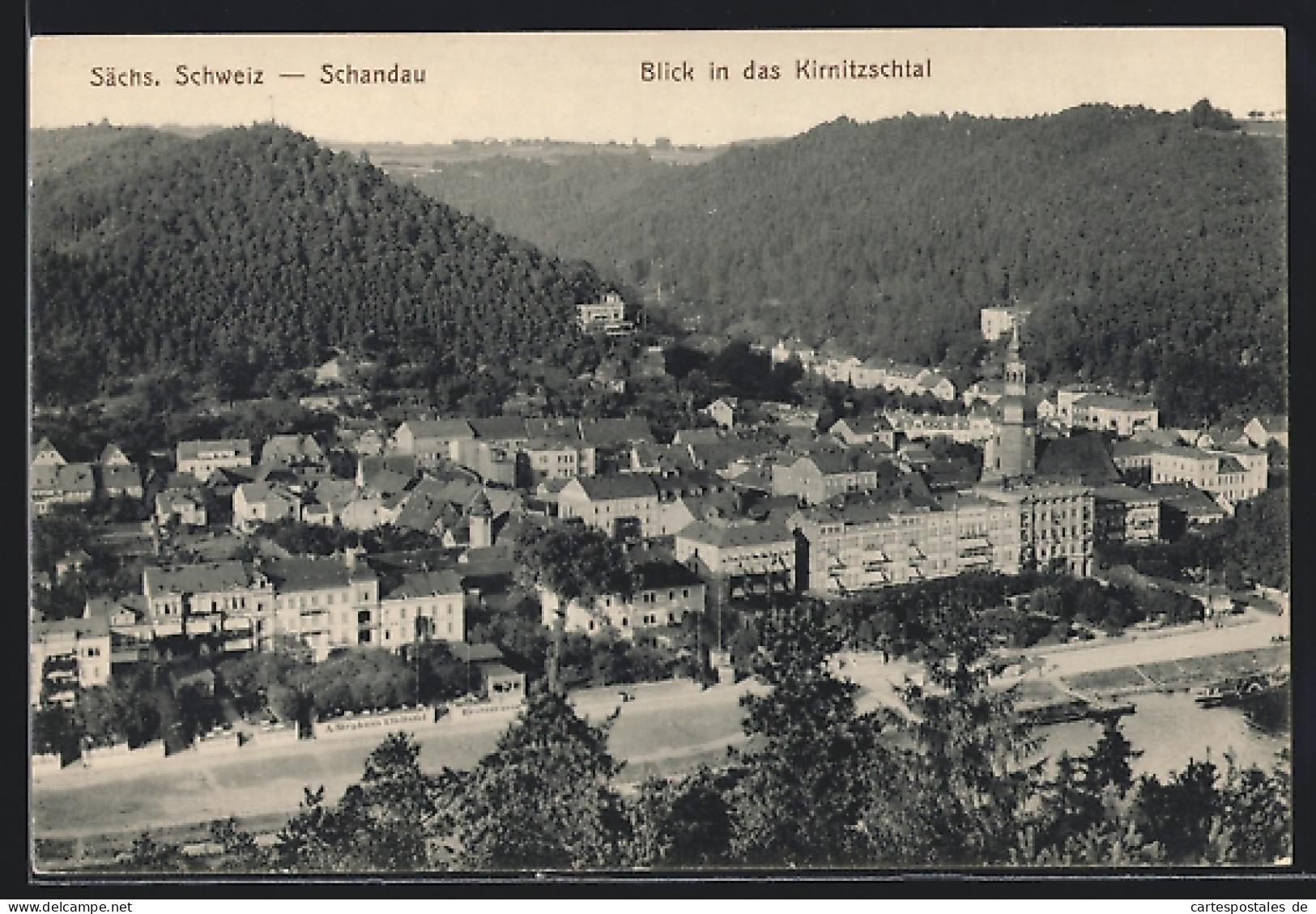 AK Schandau /Sächs. Schweiz, Blick In Das Kirnitzschtal  - Kirnitzschtal