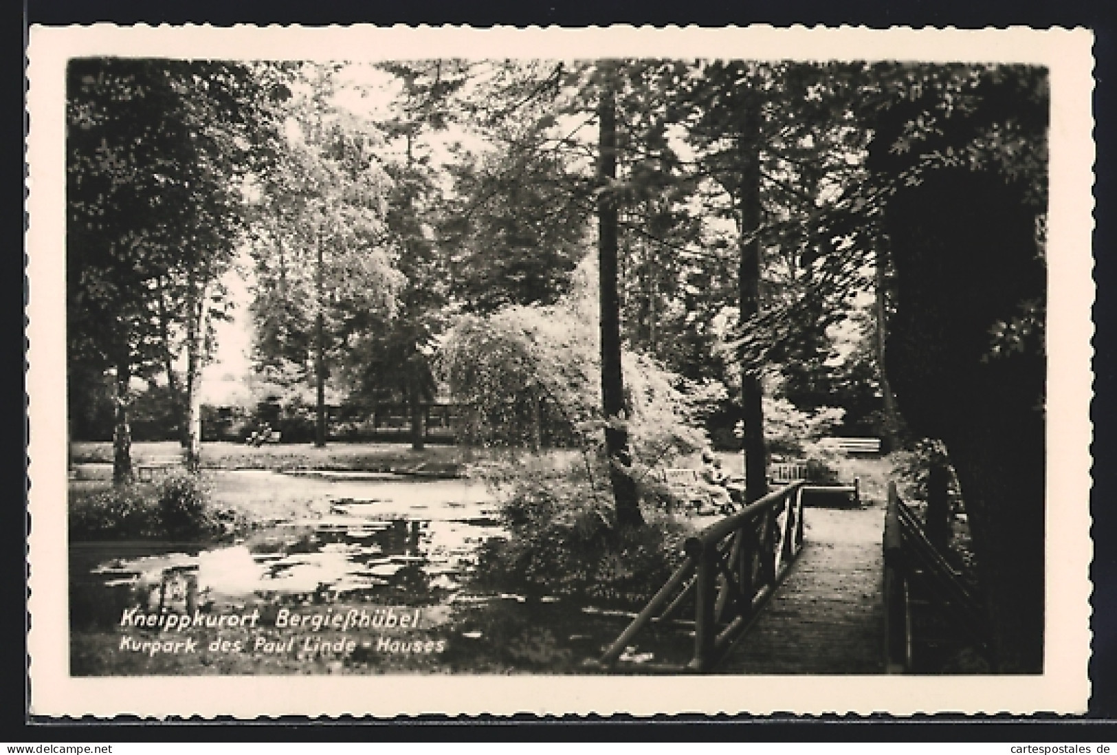 AK Berggiesshübel, Kurpark Des Paul Linde-Hauses  - Andere & Zonder Classificatie