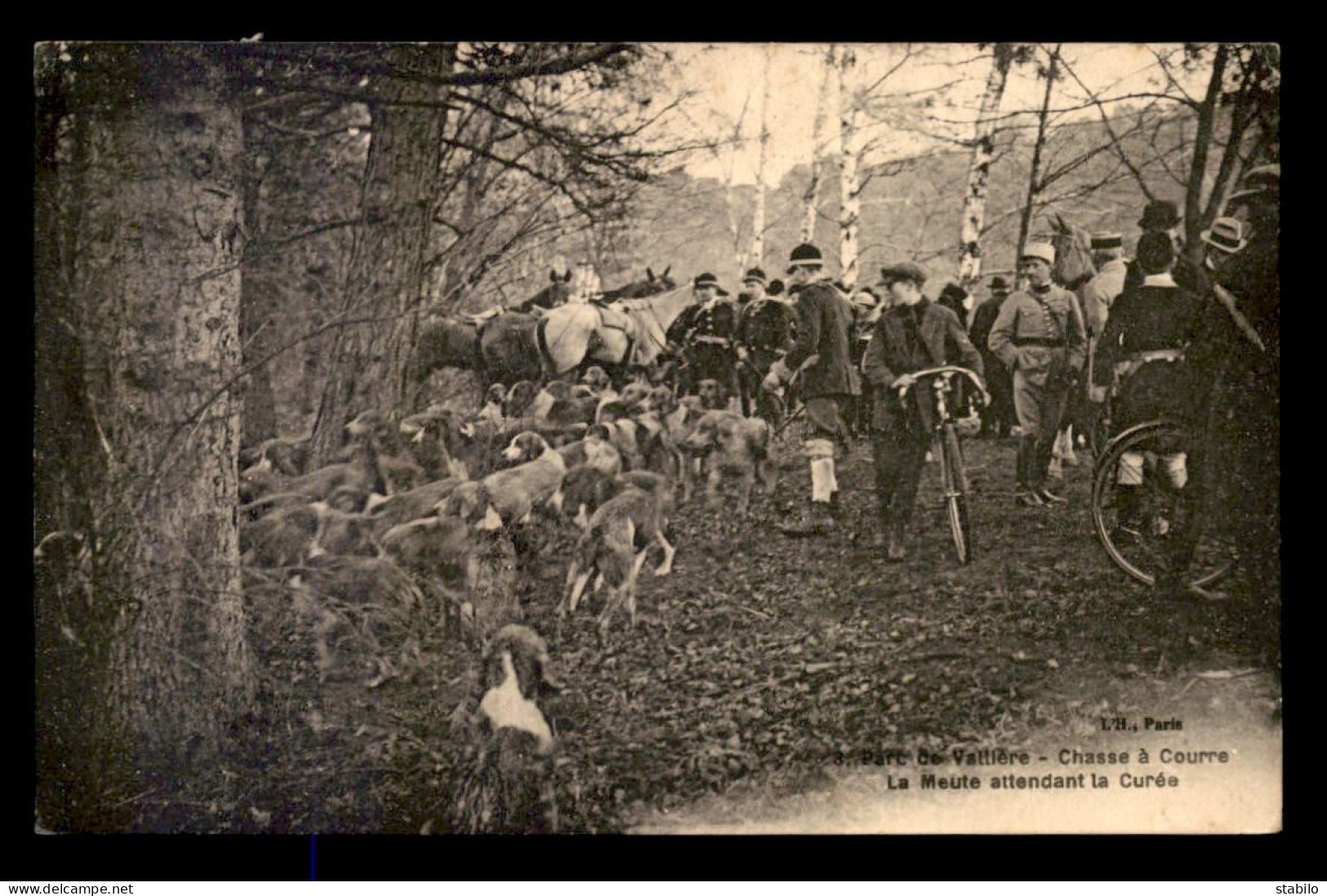 CHASSE - PARC DE VALLIERE (OISE) - CHASSE A COURRE - LA MEUTE ATTENDANT LA CUREE - Caccia