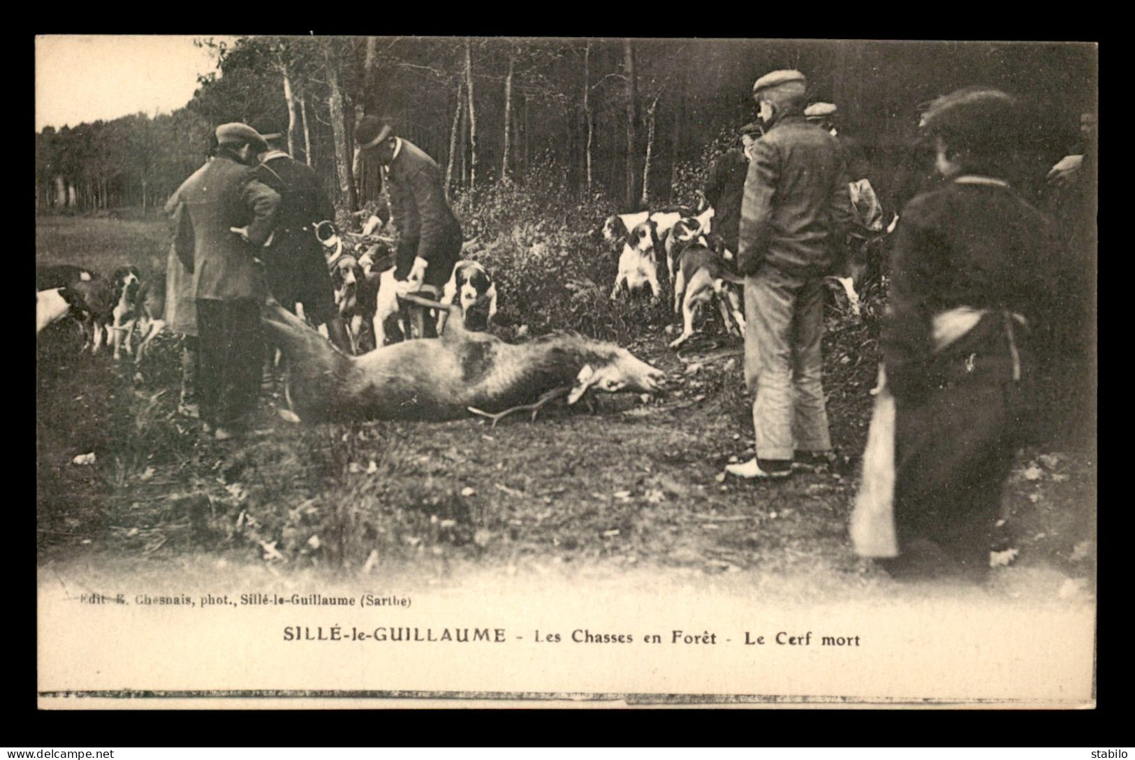 CHASSE - CHASSE A COURRE - SILLE-LE-GUILLAUME - LE CERF MORT - Chasse