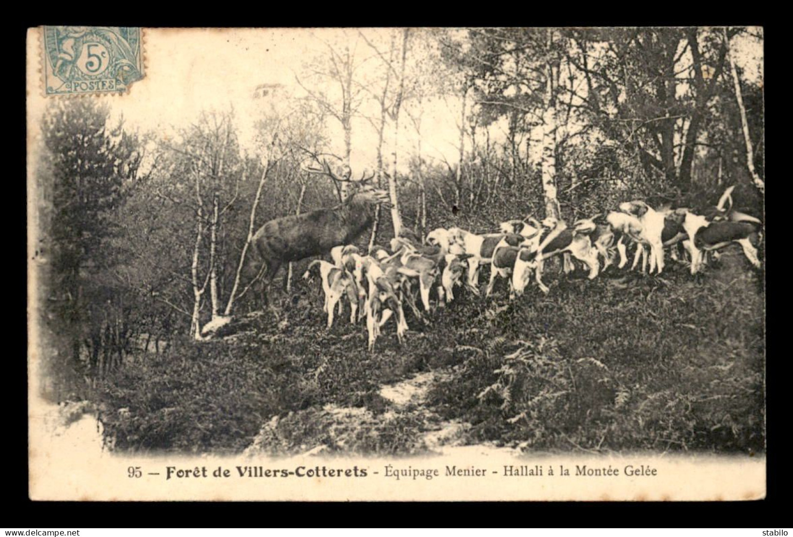 CHASSE - CHASSE A COURRE - FORET DE VILLERS-COTTERETS - EQUIPAGE MEUNIER - HALLALI A LA MONTEE GELEE - Caccia