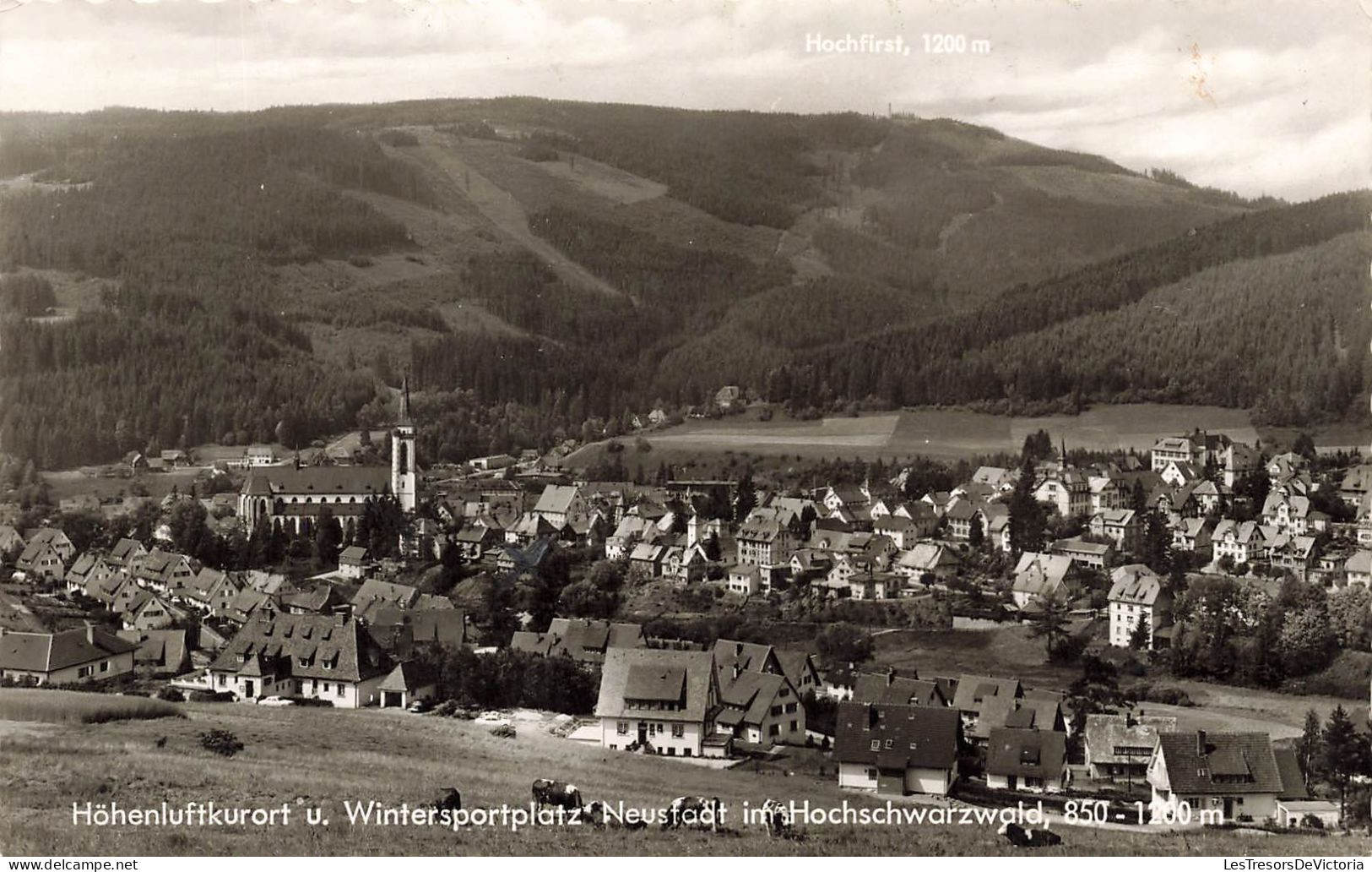 MEXIQUE - Hohenluftkurort U - Wintersportplatz Neusfaot Im Hochschwarzwald - 850 - 1200 M - La Ville - Carte Postale - Hochschwarzwald