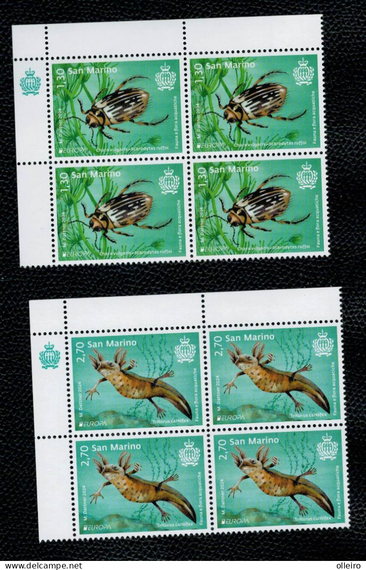 San Marino 2024 -Europa - Fauna E Flora Acquatiche 2v In Quartina Complete Set ** MNH - Unused Stamps