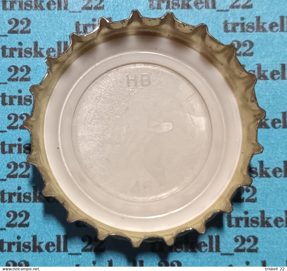 Brugse Zot    Mev19 - Bière