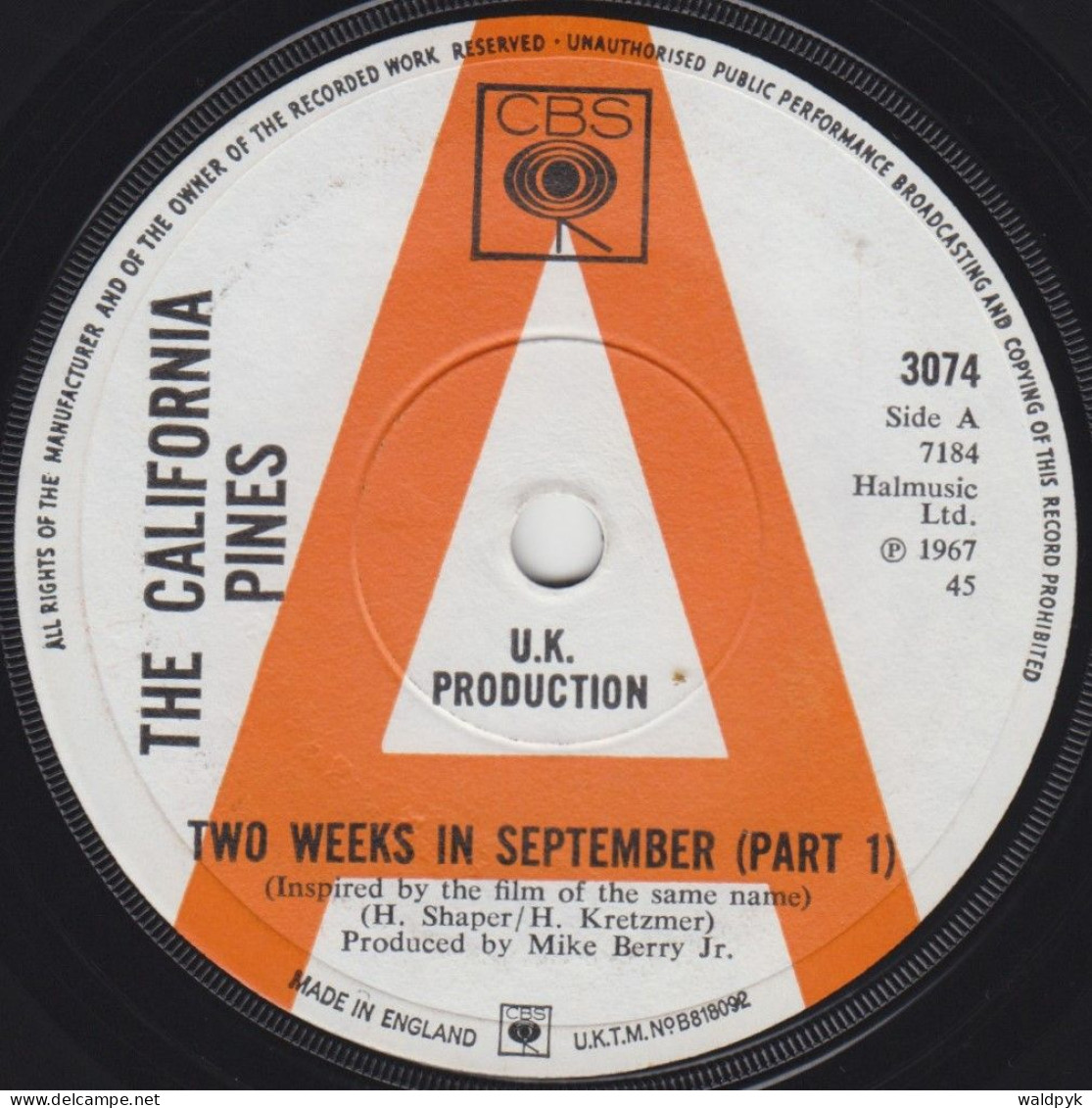 THE CALIFORNIA PINES - Two Weeks In September - Other - English Music