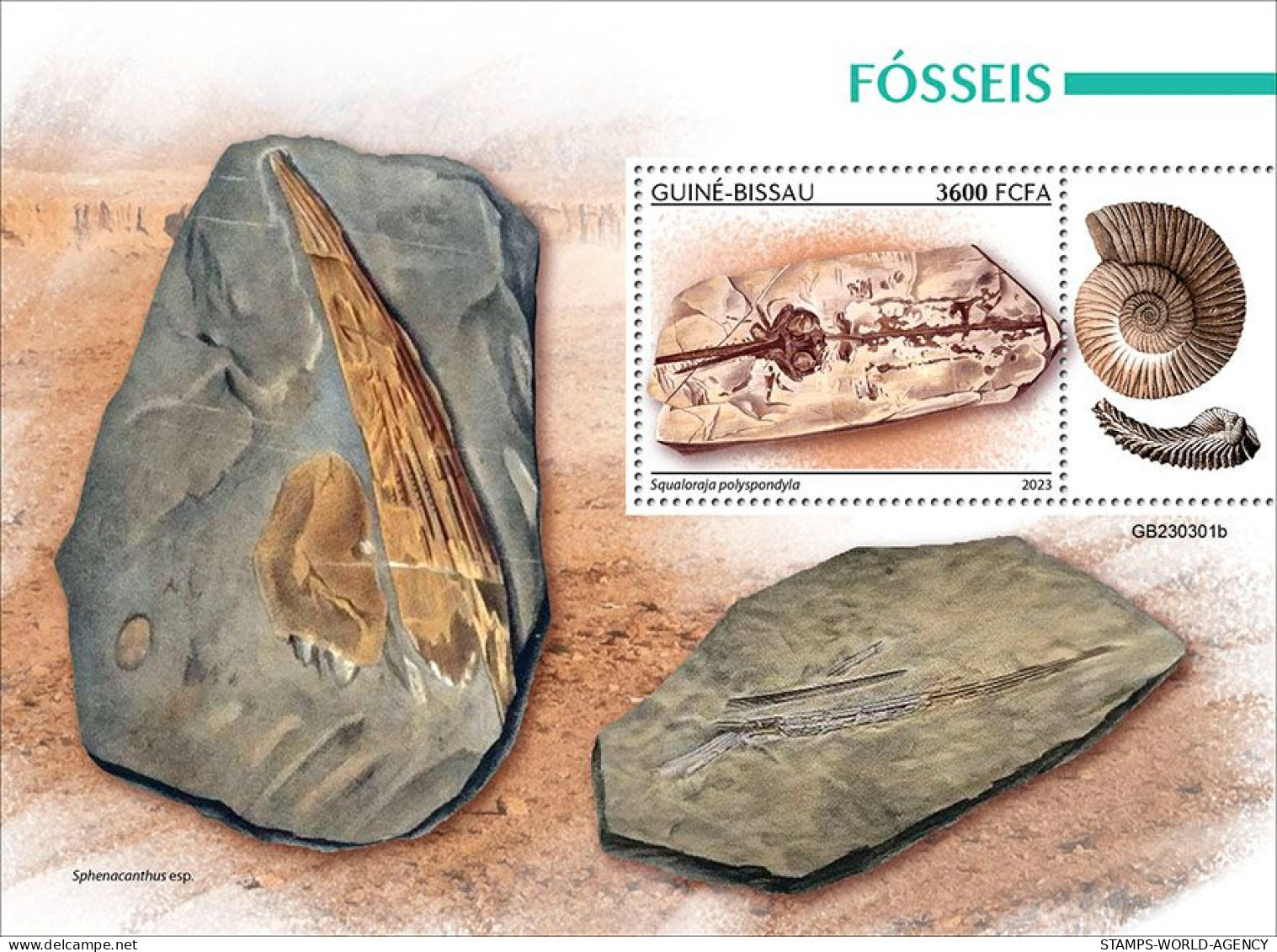 2024-04 - CENTRAL AFRICAN - FOSSILS                  1V  MNH** - Fossiles