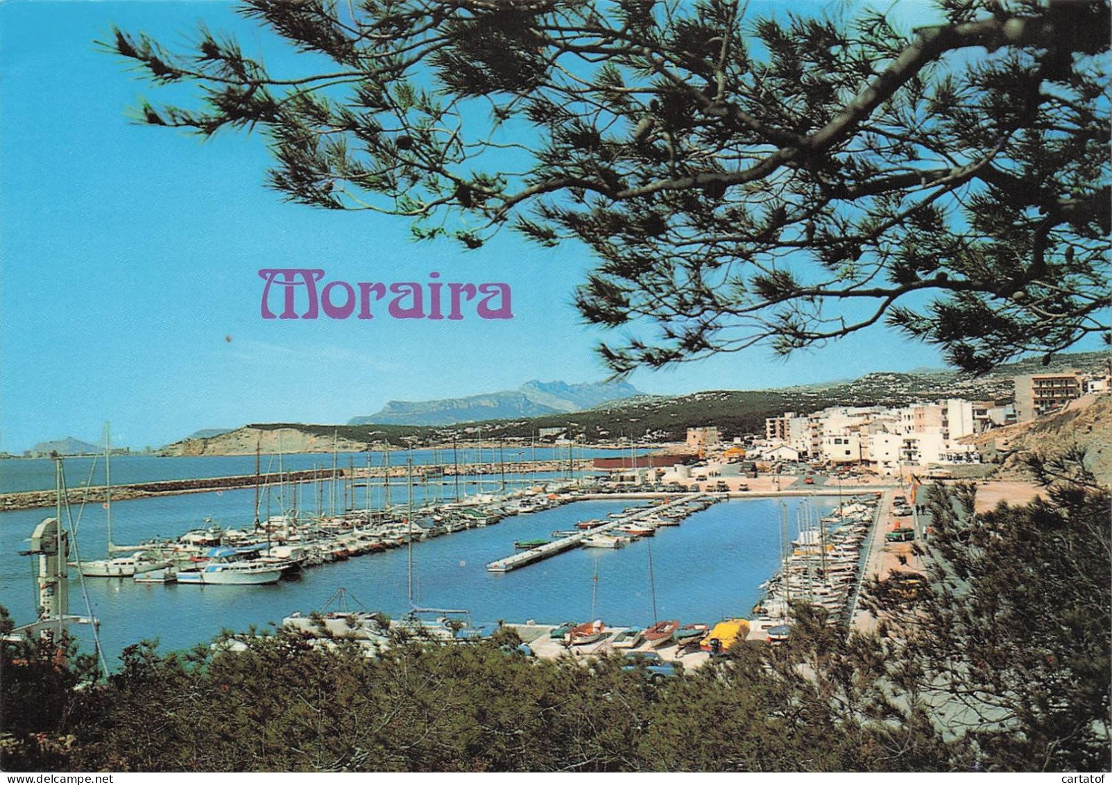 MORAIRA . Vista Del Puerto . - Altri & Non Classificati