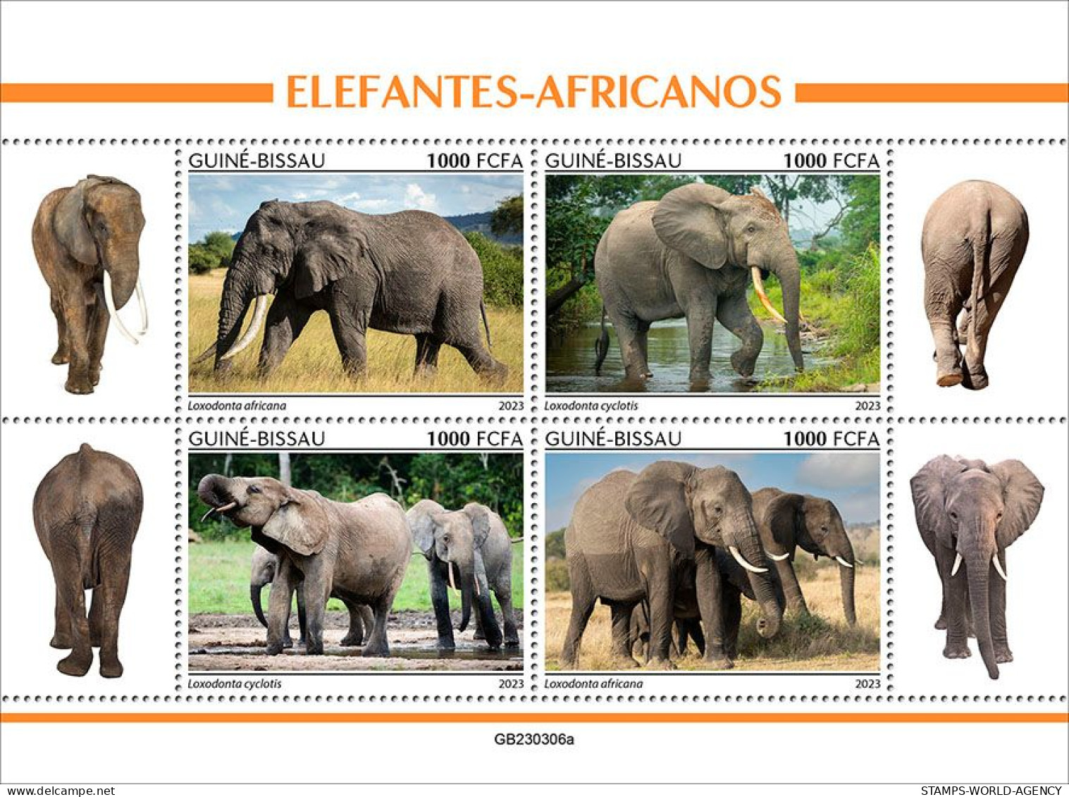 2024-04 - CENTRAL AFRICAN - ELEPHANTS                  4V  MNH** - Elefanten