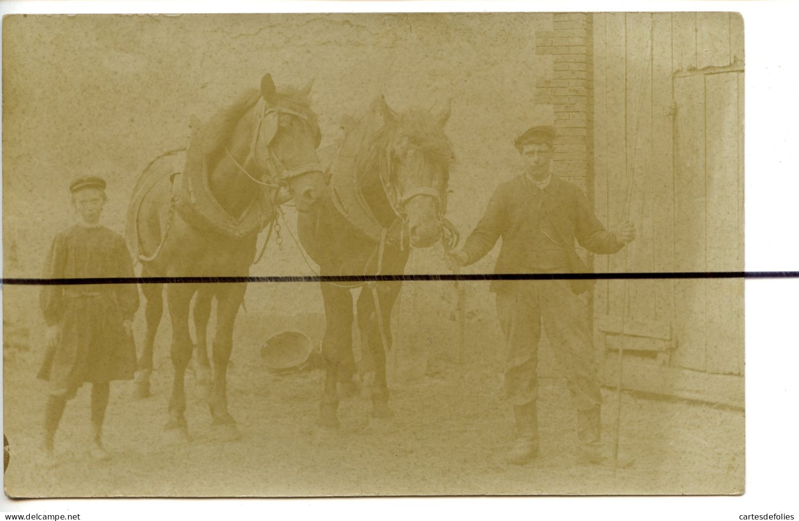 Carte Photo.  CPA . Un Homme Et Enfant Avec Des Chevaux , Paysan , ATTELAGE , Joue - Photographie