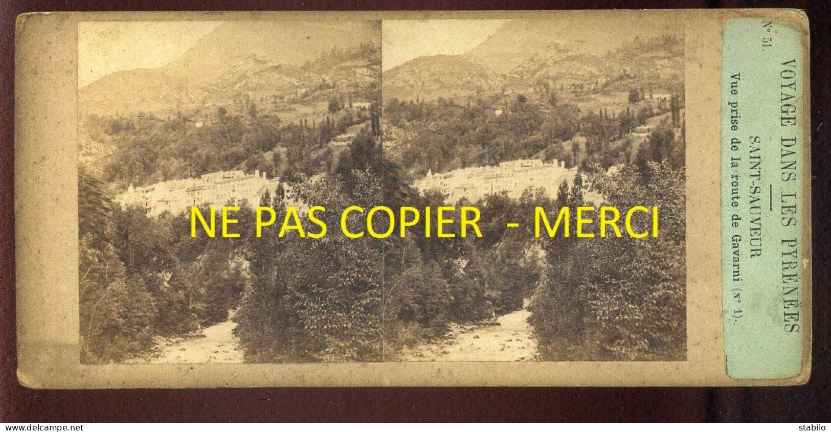 PHOTO STEREO -  VOYAGE DANS LES PYRENEES - SAINT-SAUVEUR - VUE PRISE DE LA ROUTE DE GAVARNI - FORMAT 17 X 8.5 CM  - Stereo-Photographie