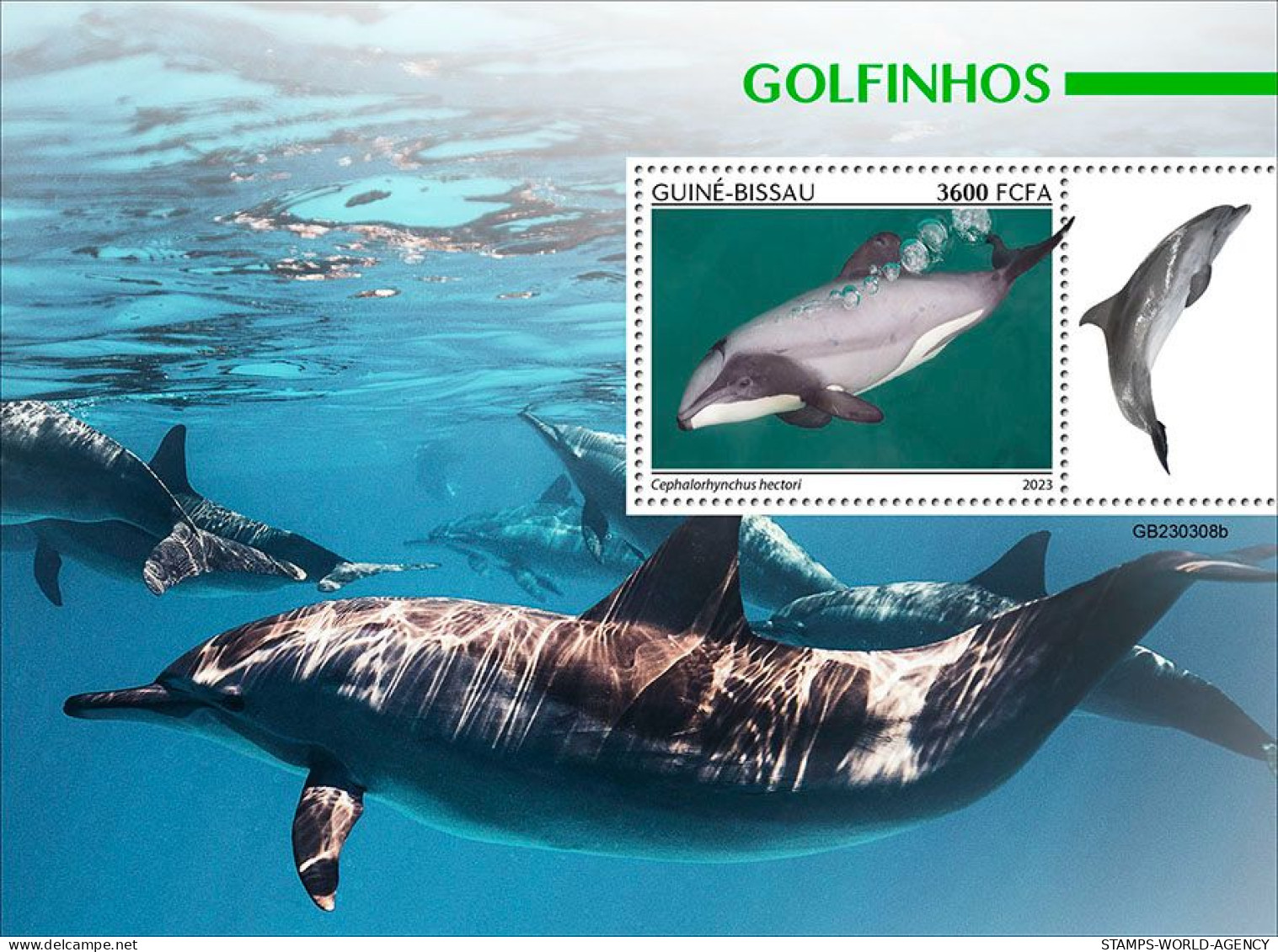 2024-04 - CENTRAL AFRICAN - DOLPHINS                  1V  MNH** - Dolfijnen