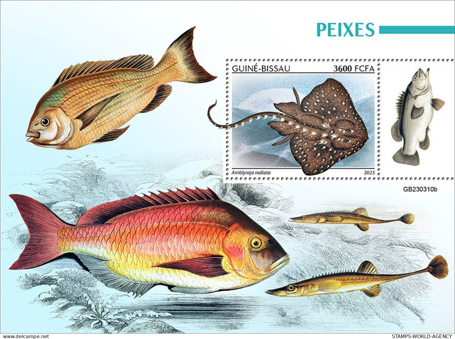 2024-04 - CENTRAL AFRICAN - FISHES                  1V  MNH** - Fische