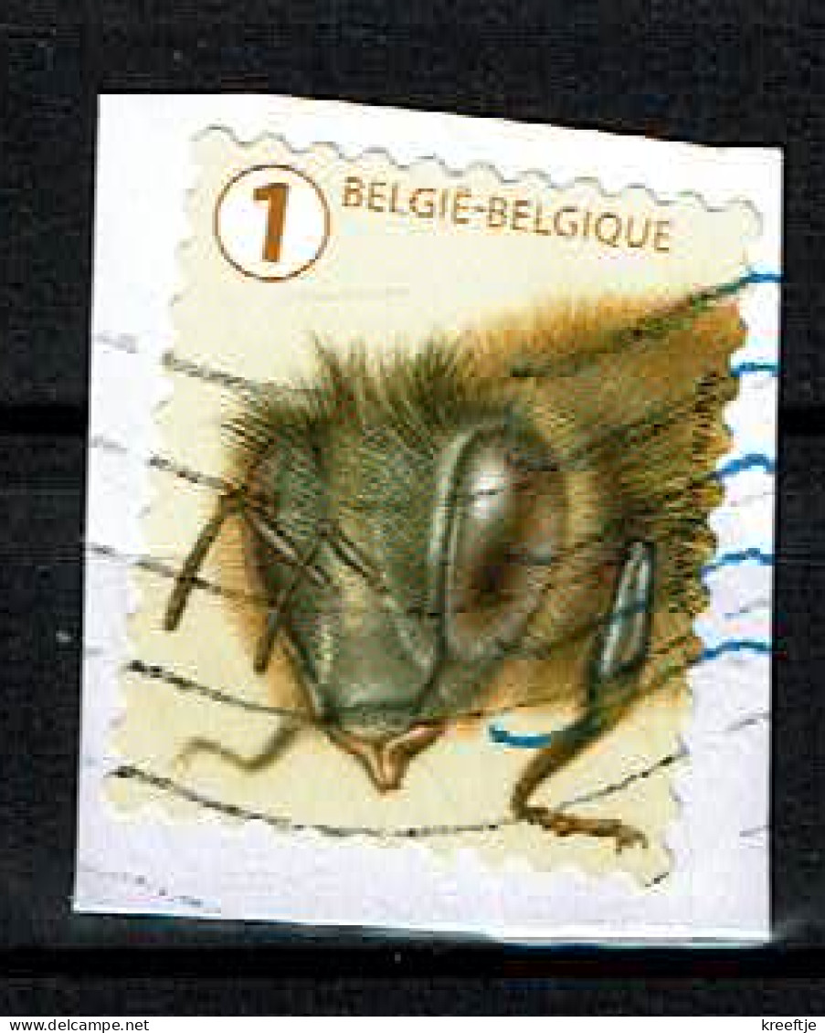 Honingbij Uit 2020 (OBP 4958 ) - Used Stamps