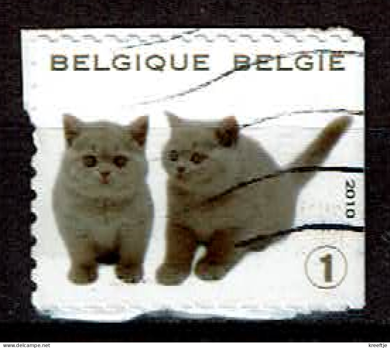 Kittens Uit 2010 (OBP 4011 ) - Usati