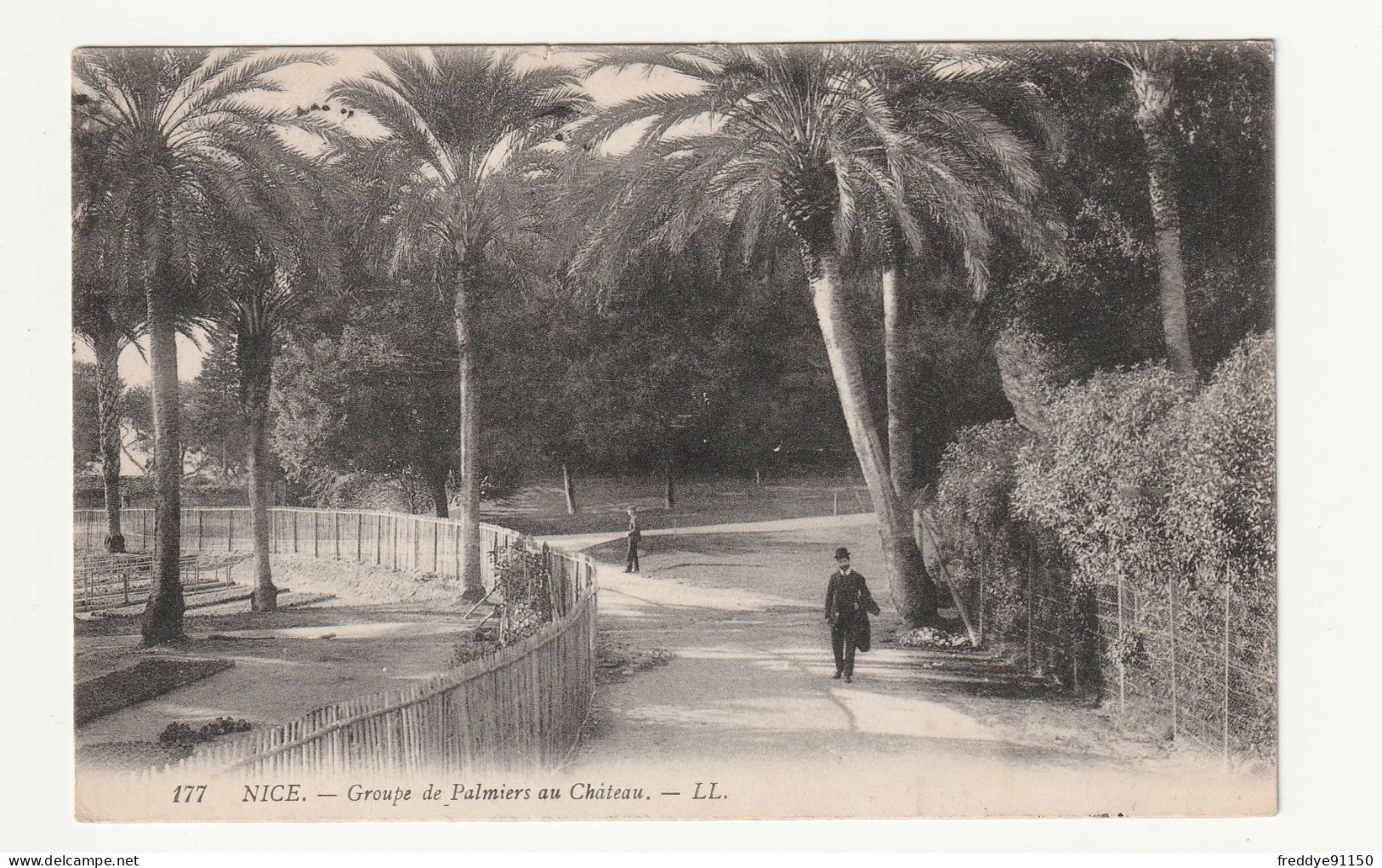 06 . NICE . GROUPE DE PALMIERS AU CHATEAU . 1909 - Mehransichten, Panoramakarten