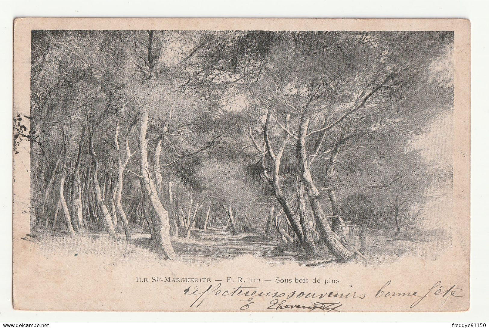 06 . ILE SAINTE MARGUERITE . SOUS BOIS DE  PINS . 1903 - Otros & Sin Clasificación