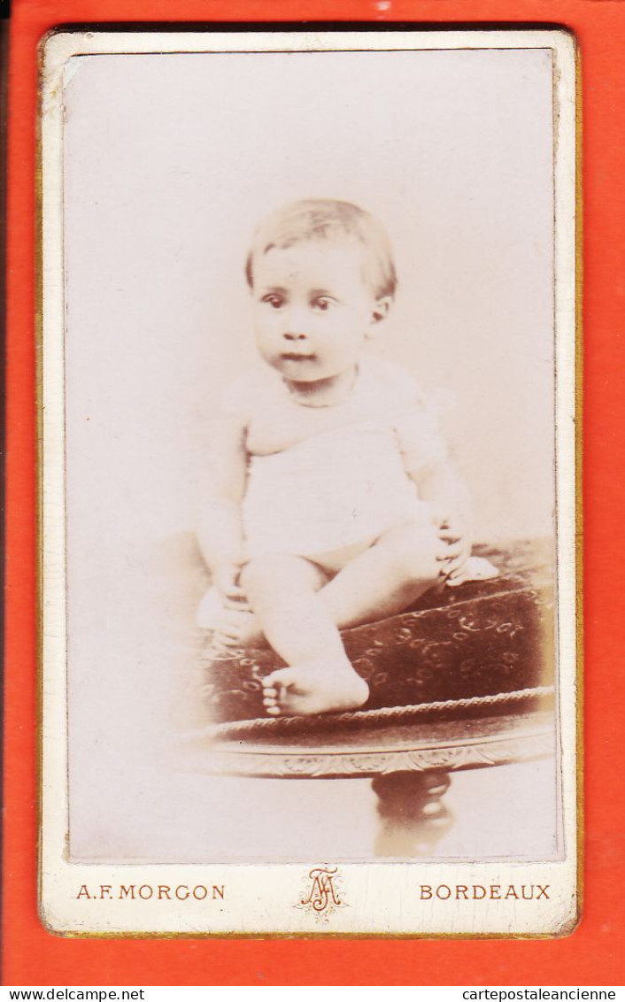 01169 / ⭐ Photo CDV BORDEAUX 33-Gironde ◉ Photographe A F MORGON 103 Rue Sainte-Catherine ◉ Bébé Assis - Anonymous Persons