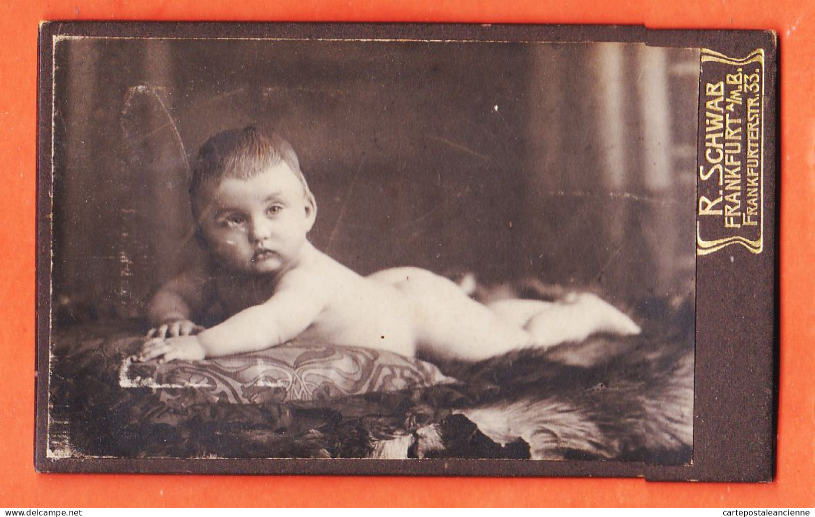 01114 / ⭐ Photo CDV 1900s FRANKFURT A/m Bockenh Hessen ◉ Bébé Nacktes Baby Das Auf Einem Fell Liegt ◉ Atelier R SCHWAB - Personas Anónimos