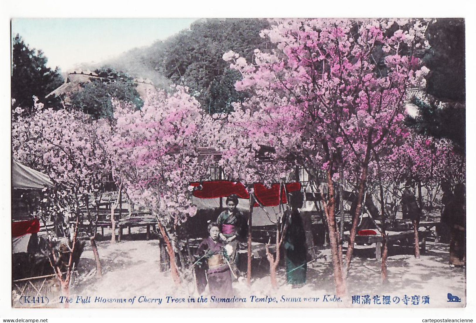 01056 / ⭐ (•◡•) SUMA Near KOBE Full Blossoms CHERRY Trees SUMADERA Temple Temlpe Postkarte 1910s Giappone Japon Japan - Other & Unclassified