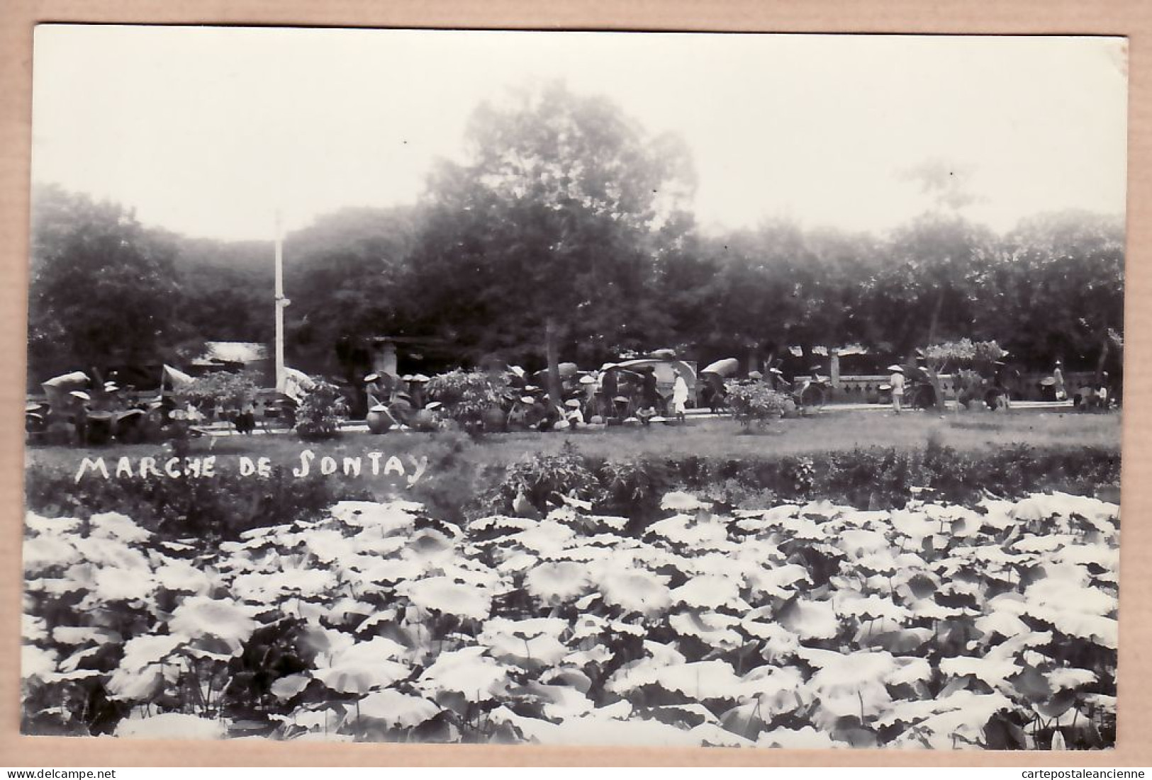 01002 / ♥️ ◉ SONTAY Marché 1930s Carte-Photo Issue Album ROSSIGNOL 4em RAC Régiment Artillerie Coloniale  Indochine - Viêt-Nam