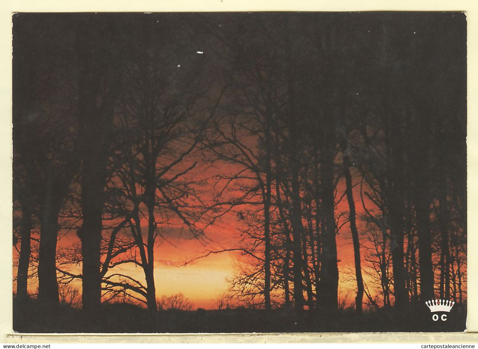 01227 / Dordogne Au Coucher Du Soleil La Forêt S'embrasait Cliché PERRIN CPM 1980s Carterie Occitane LOUBATIERES L 105 - Andere & Zonder Classificatie