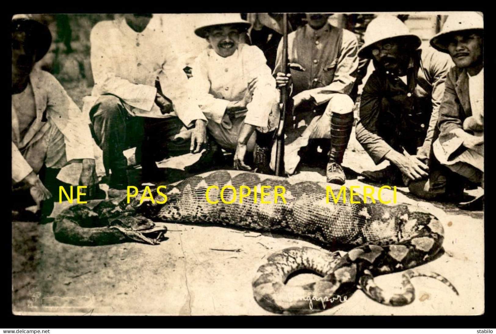 SINGAPOUR - CHASSE AU SERPENT - UN TROPHEE - CARTE PHOTO ORIGINALE - Singapur