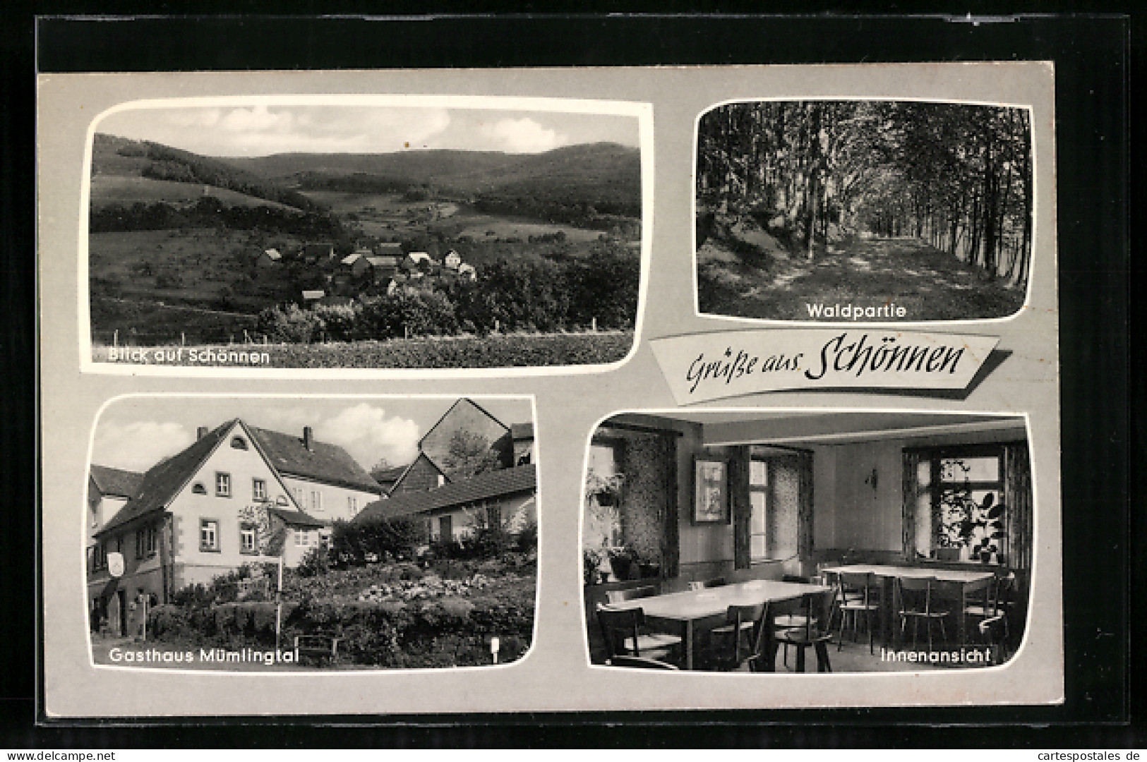 AK Schönnen /Odw., Gasthaus Zum Mümlingtal, Ortsansicht Und Waldpartie  - Other & Unclassified