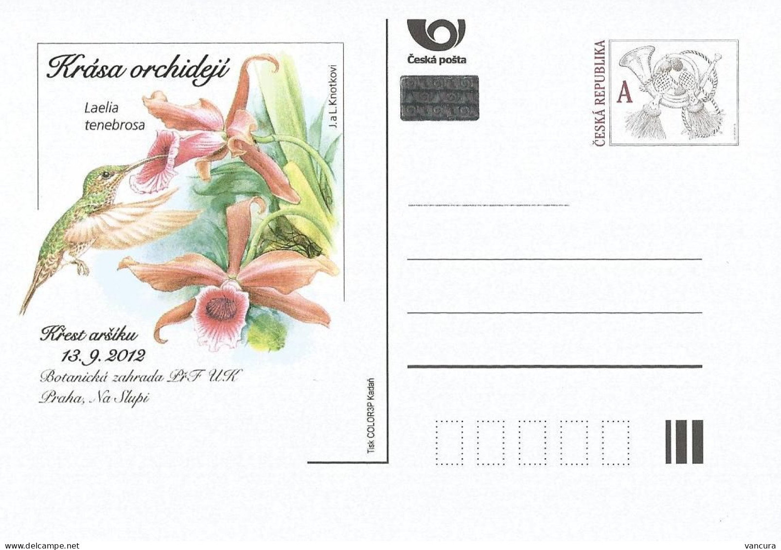 CDV C Czech Republic ORCHID 2012 Laelia Tenebrosa Humming Bird - Cartoline Postali