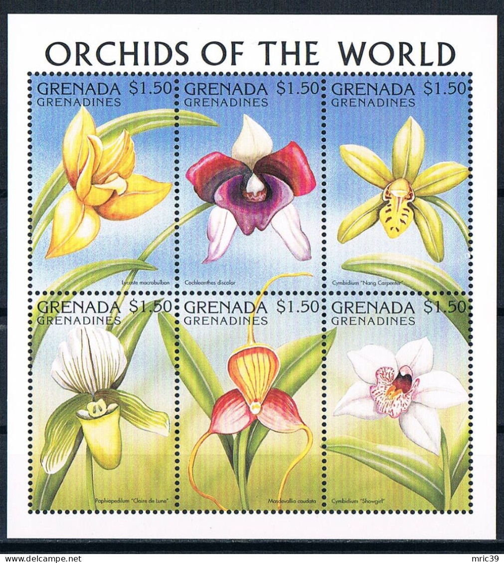 Bloc Sheet  Fleurs Orchidées Flowers Orchids  Neuf  MNH ** Grenada 1997 - Orchids