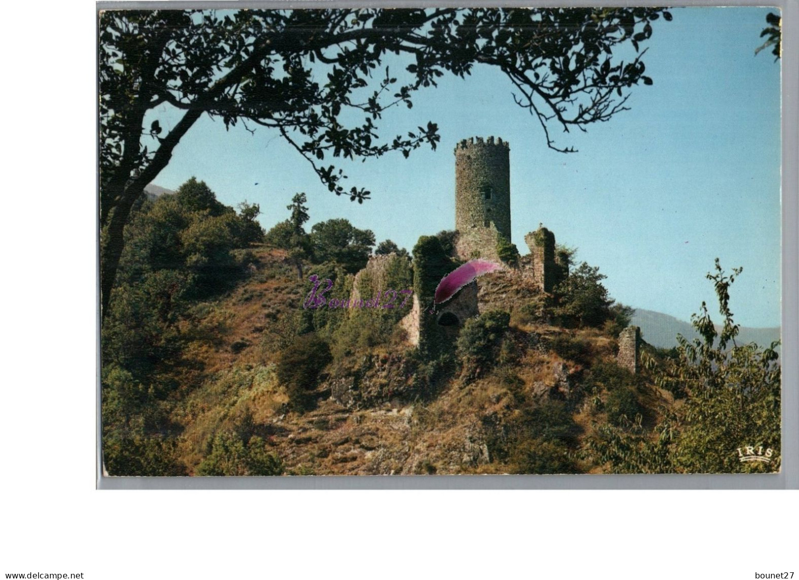 Haute Vallée De L'Ardèche Ruines Du Château Féodal De CHADENAC Aux Environs De THUEYTS 1971 - Other & Unclassified