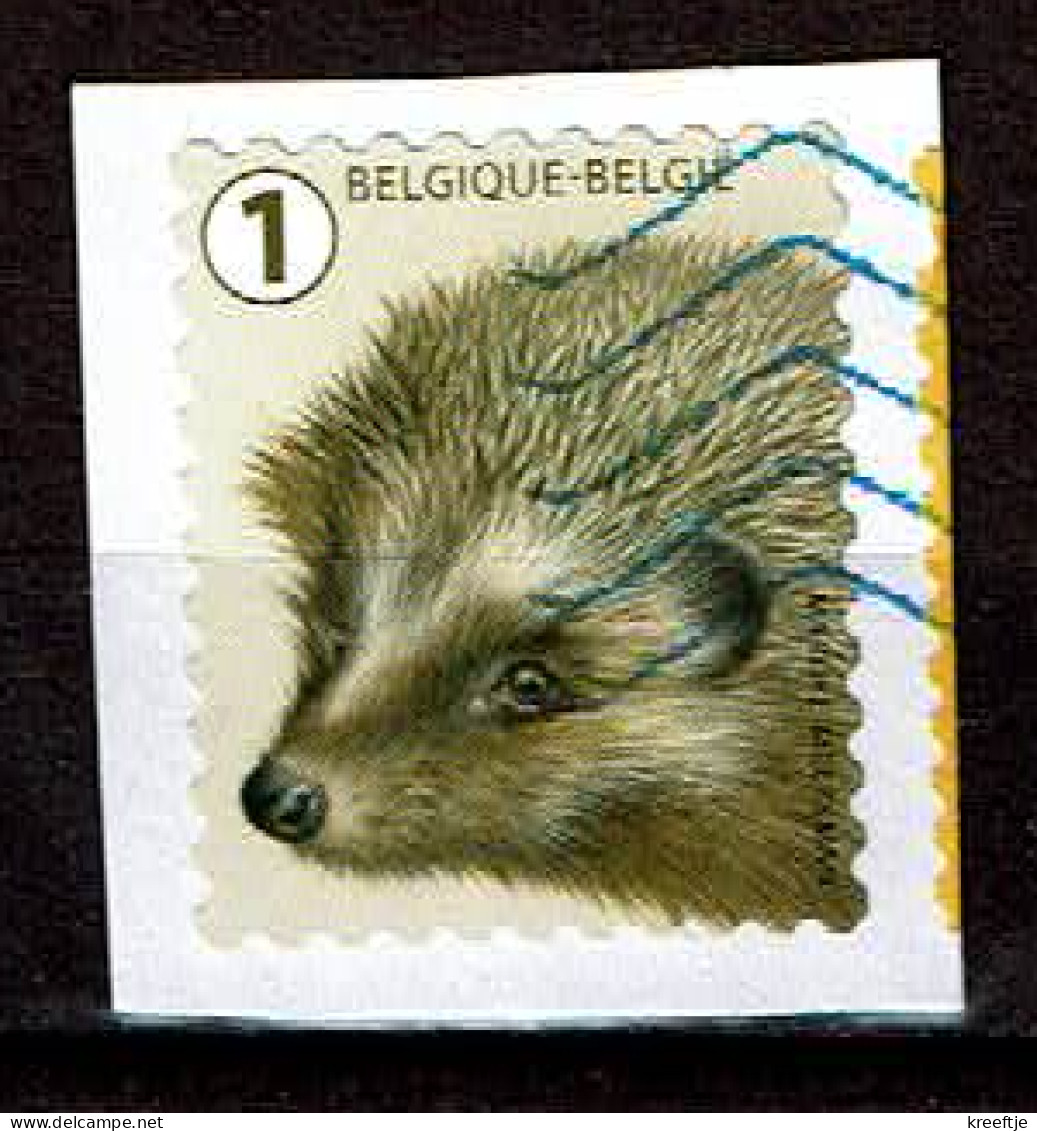 Egel Uit 2020 (OBP 4951 ) - Used Stamps