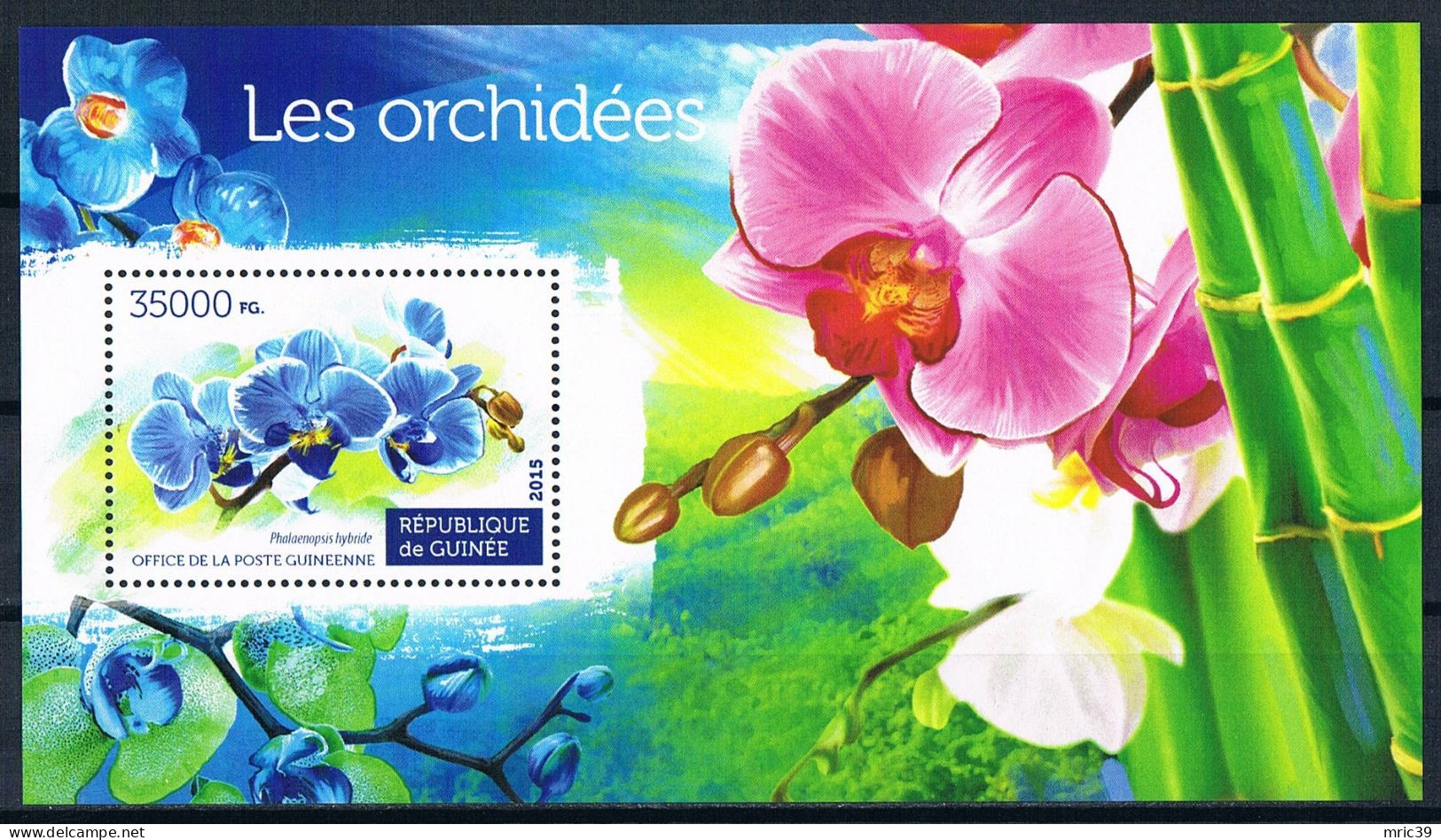 Bloc Sheet  Fleurs Orchidées Flowers Orchids  Neuf  MNH ** Guinea Guinée 2015 - Orchidées