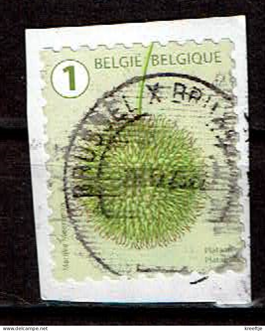 België / Belgique / Belgium / Belgien Plataan 2021 (OBP 5028 ) - Usados