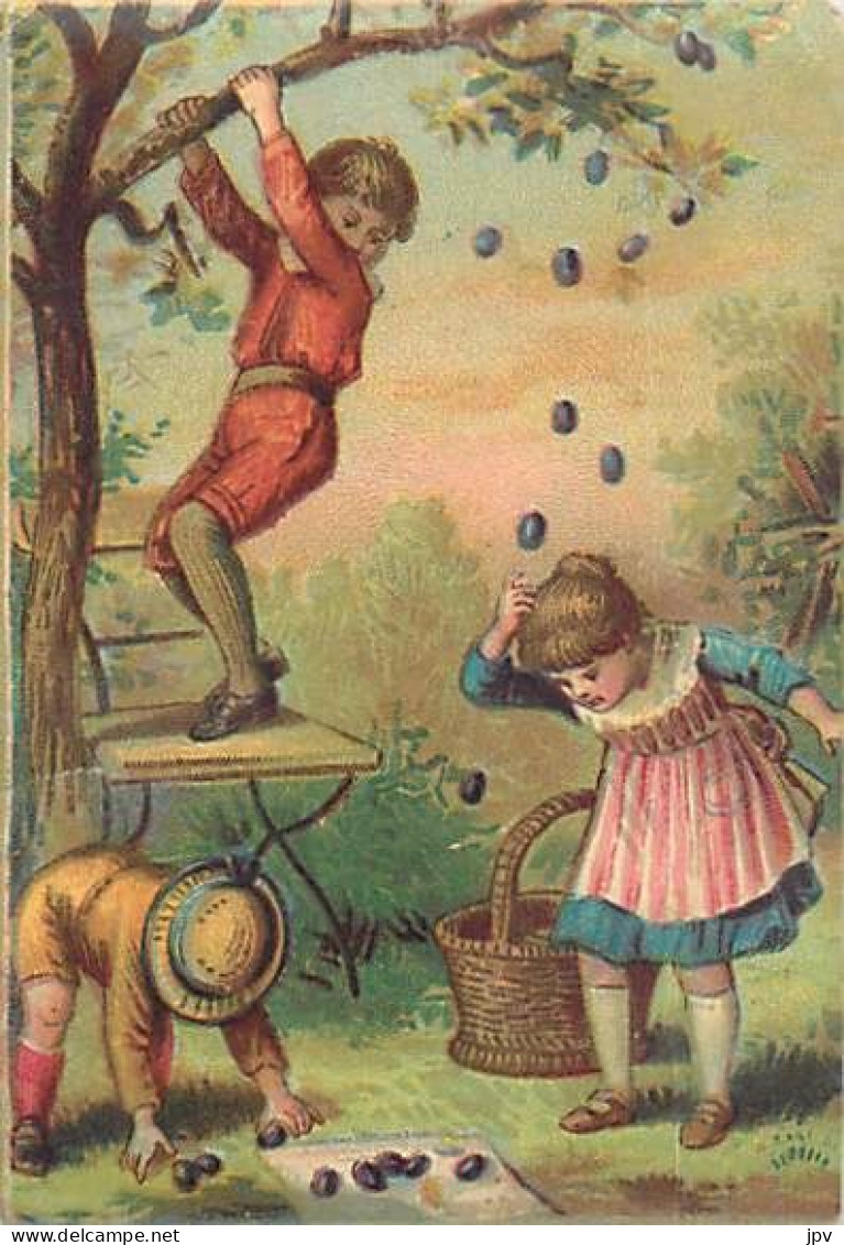 Véritable Chromolithographie : 3 ENFANTS, CUEILLETTE DE PRUNES - Sonstige & Ohne Zuordnung