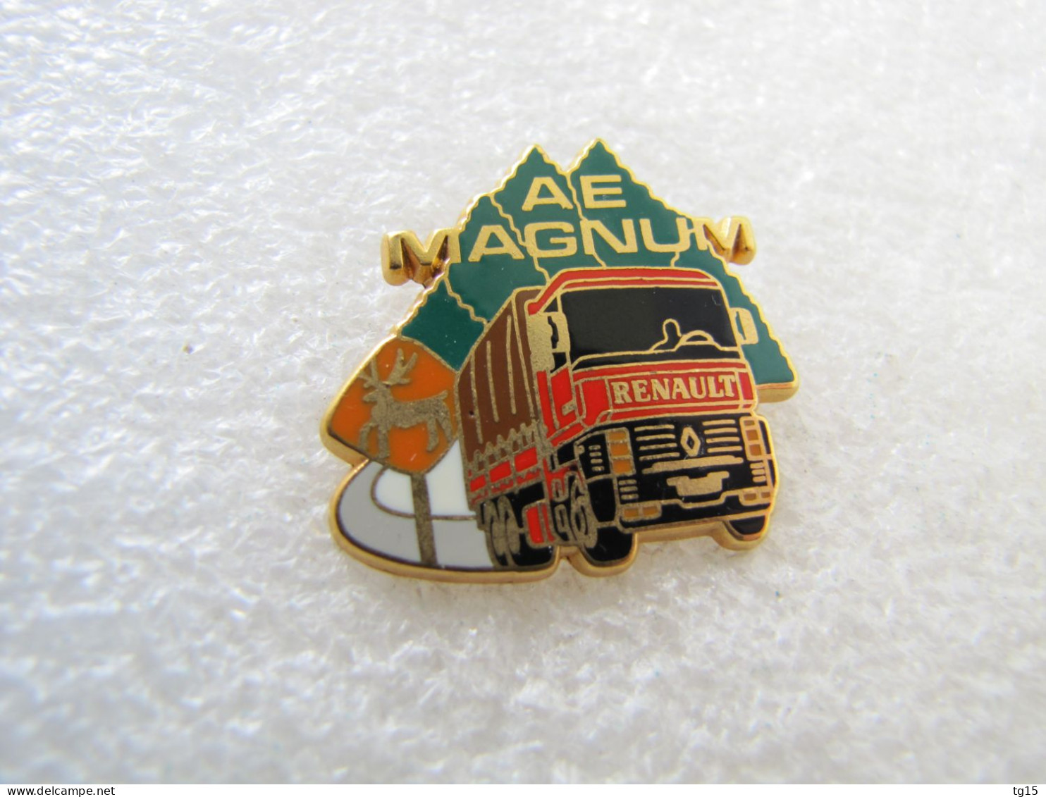 PIN'S  CAMION  RENAULT   AE    MAGNUM  ARTHUS BERTRAND - Renault