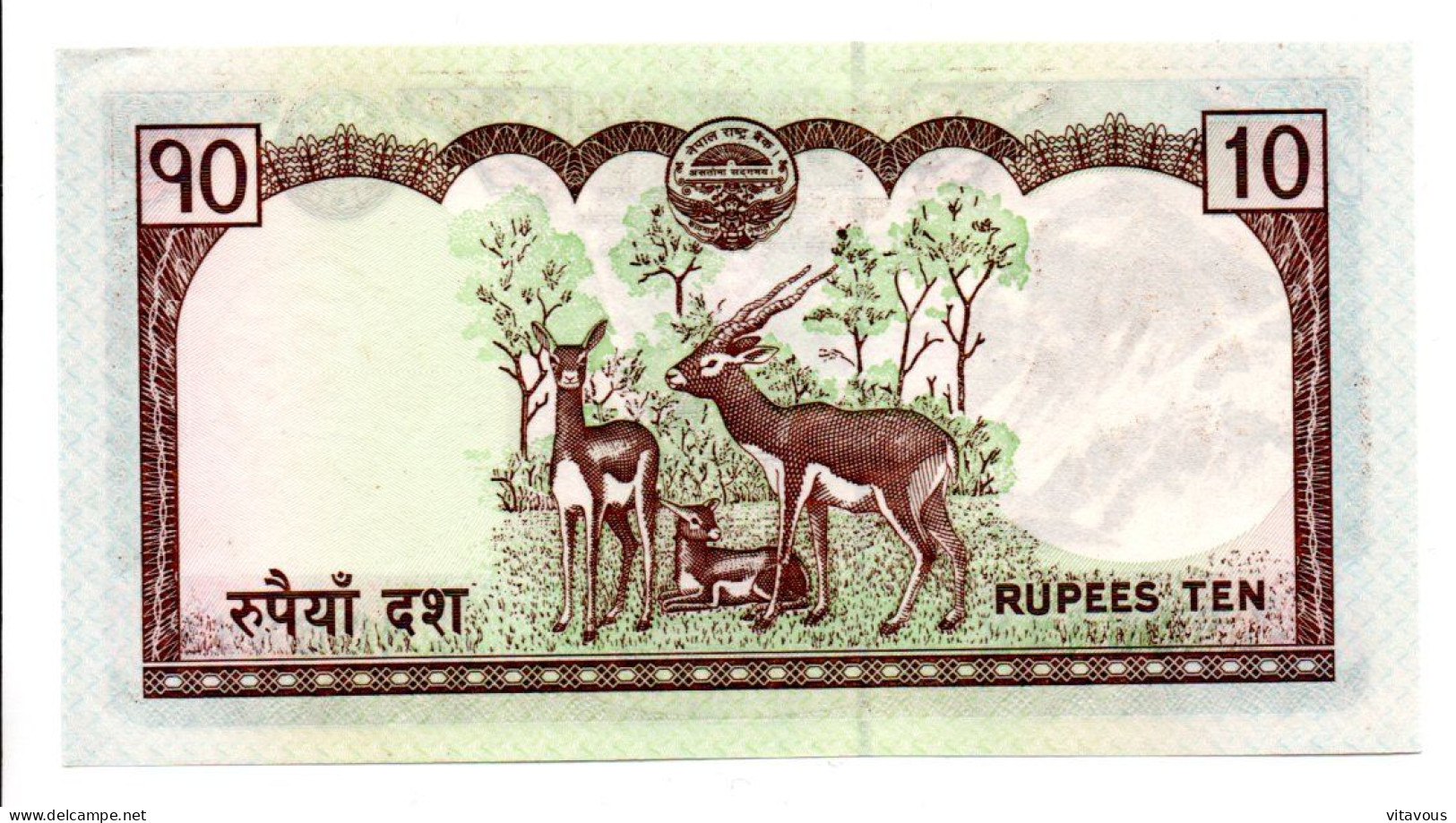 Billet NEPAL 10 Rupges Ten  Bank-note Banknote - Biche Cerf Animal - Népal