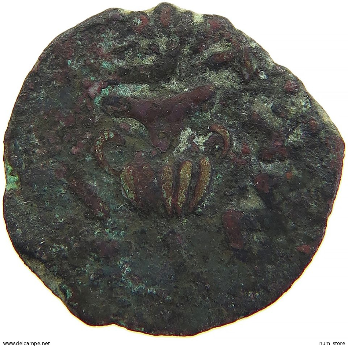 JUDEA PRUTAH JEWISH WAR 66-70 AMPHORA / VINE LEAF #t033 0555 - Griechische Münzen