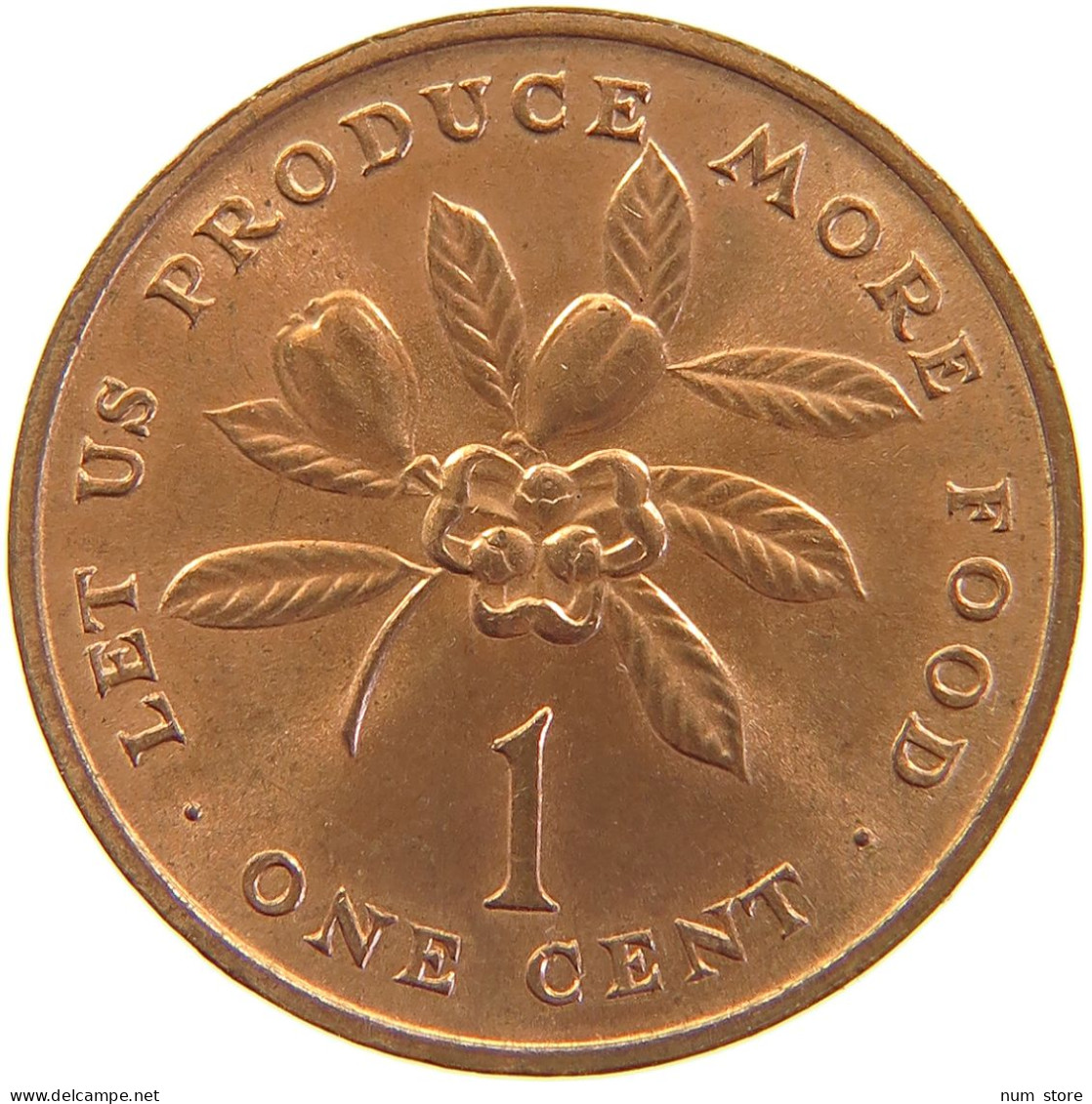 JAMAICA CENT 1971 #s105 0309 - Jamaica