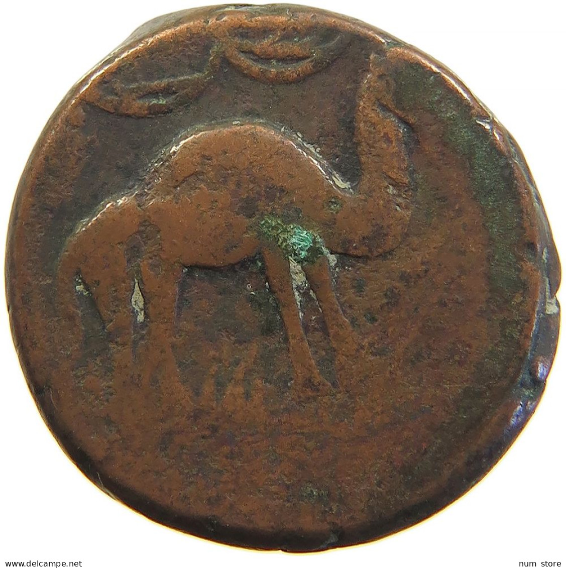 ISLAMIC FALUS FALS CAMEL RIGHT FIGURATIVE COINAGES IRAN / PERSIA / AFGHANISTAN 22MM 9G #t034 0131 - Irán