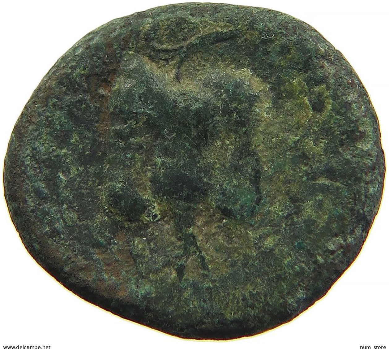 GREECE ANCIENT CILICIA AE HELMETED ATHENA / WINE GRAPE #t033 0497 - Greek