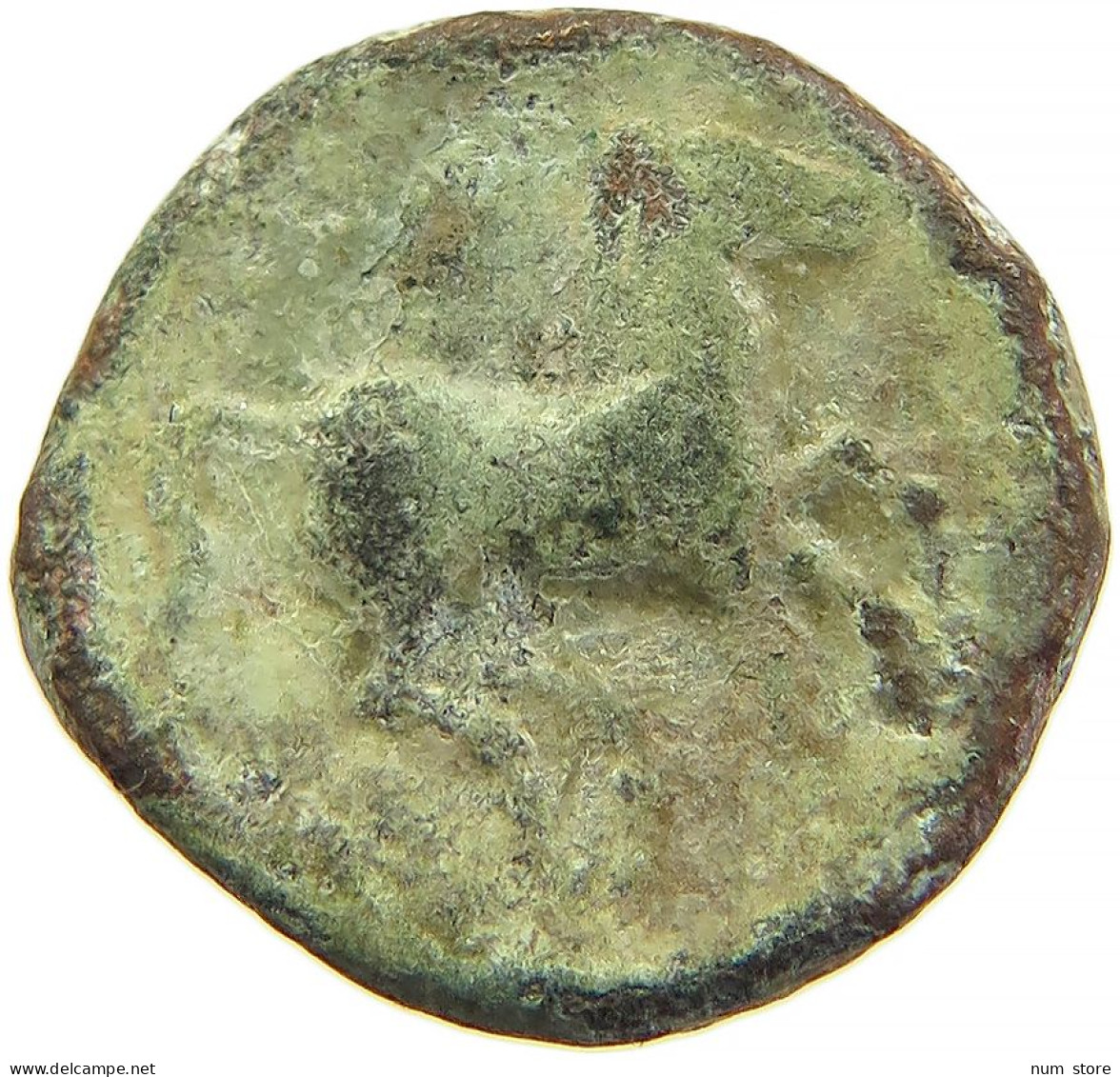 CARTHAGE AE TANIT HORSE #t033 0485 - Greek