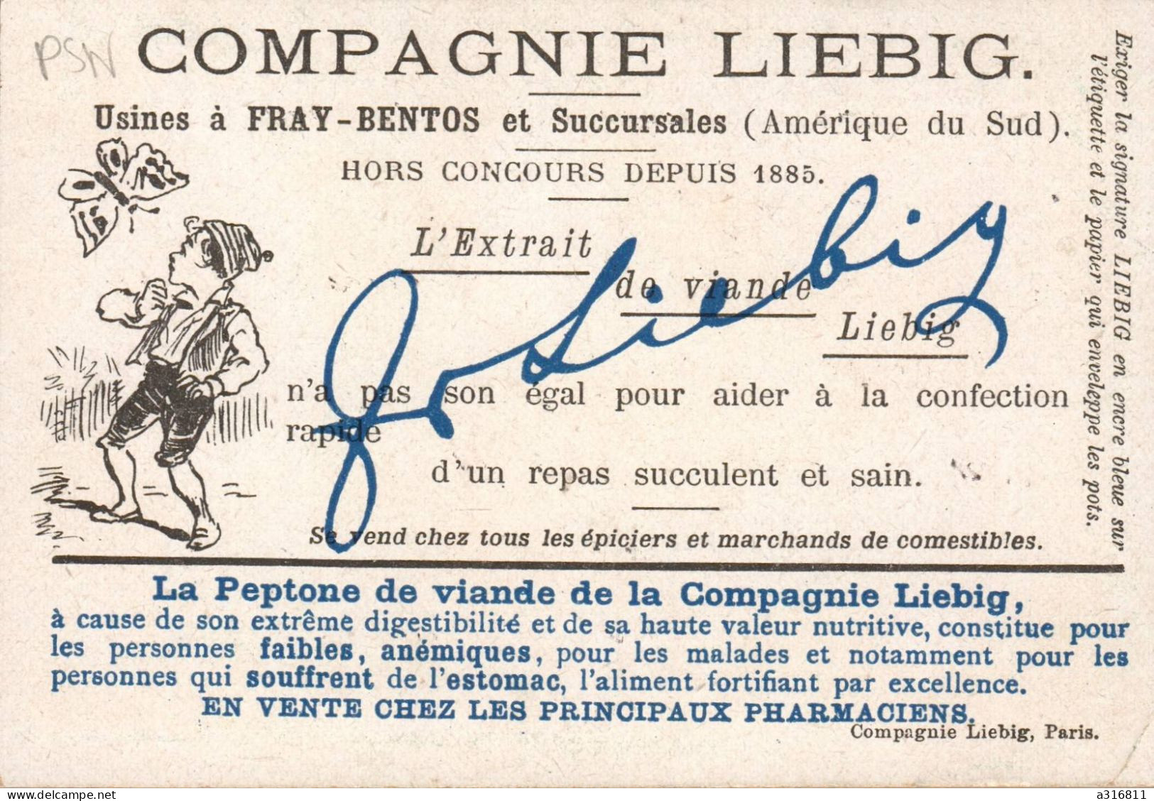 Liebig. Les Papillons, Le Paon De Jour - Souci. - Liebig