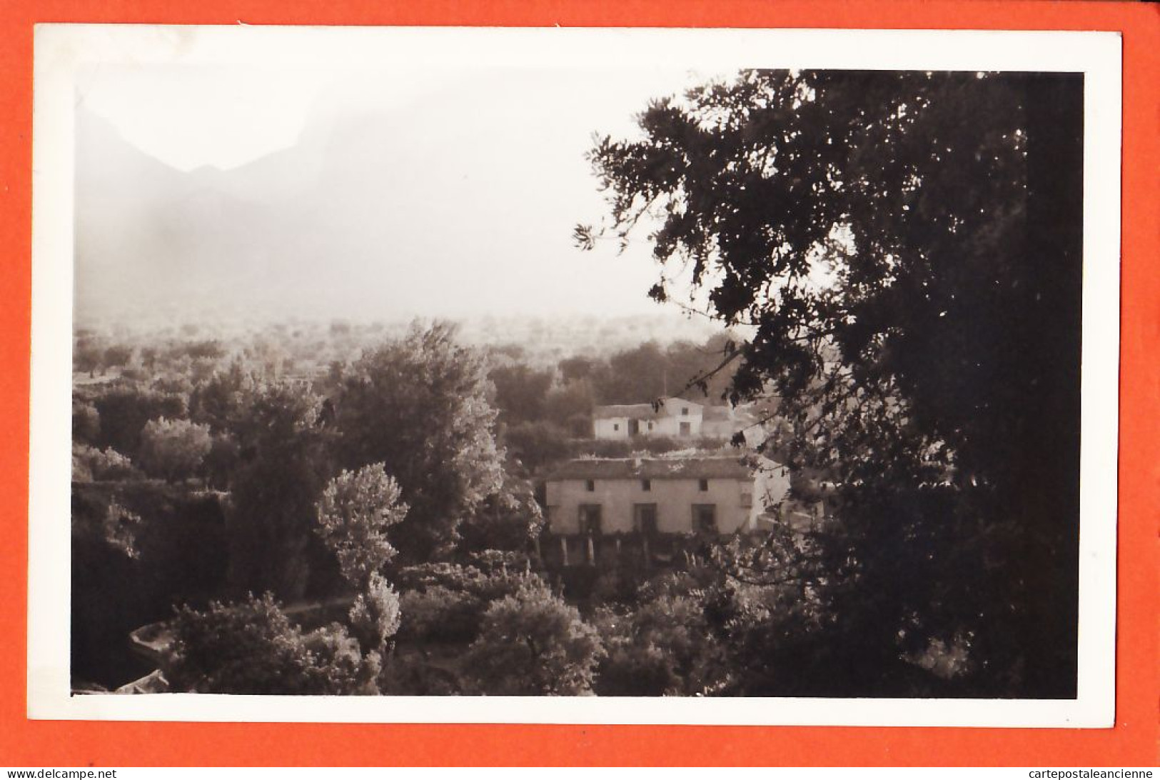 01881 / España Para Localizar Paisaje Campo De Granja Espagne Ferme Paysage De Campagne à Localiser Carte-Photo 1950s - Otros & Sin Clasificación